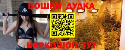 молекула духа Будённовск