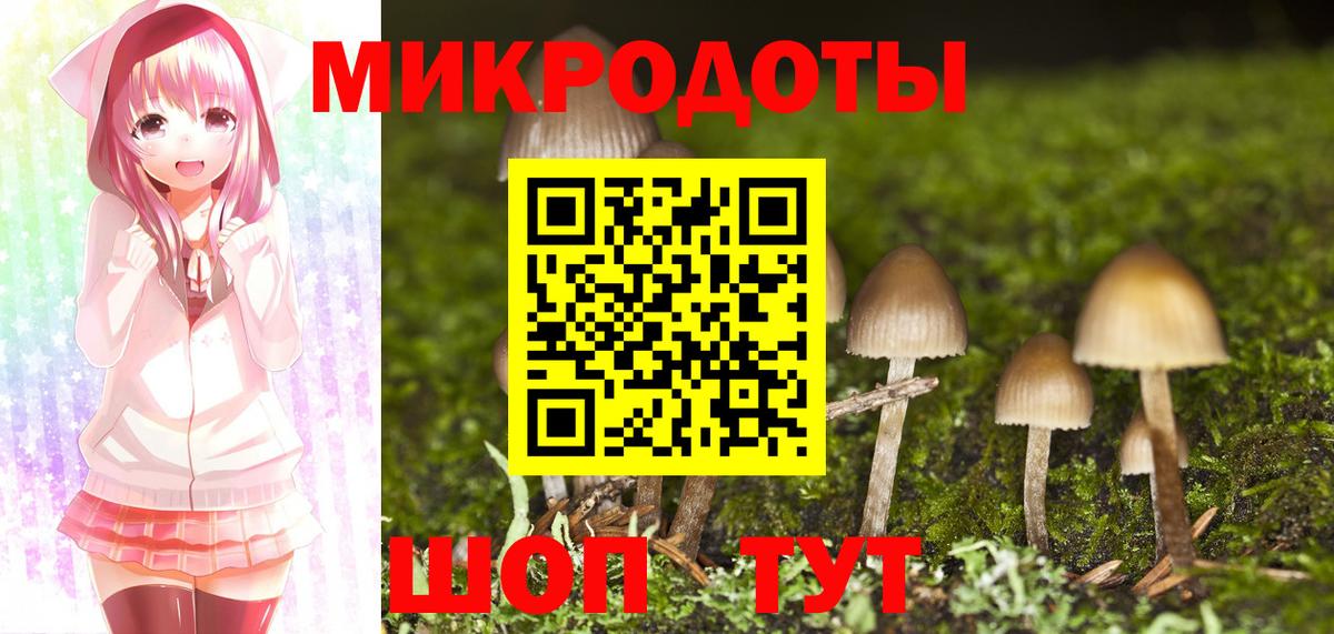 купить наркотик  Вход с VPN  Псилоцибиновые грибы ЛСД  Белогорск  Галлюциногенные грибы Psilocybine cubensis 